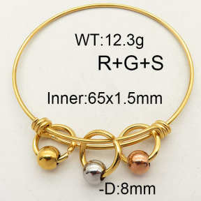 SS Bangles  P74000413vbnl-900